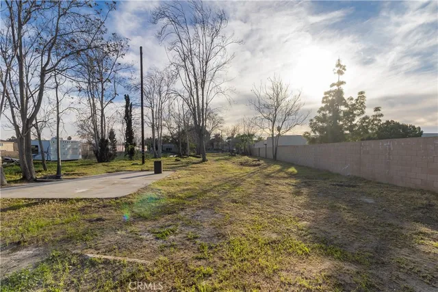 a view of yard with trees