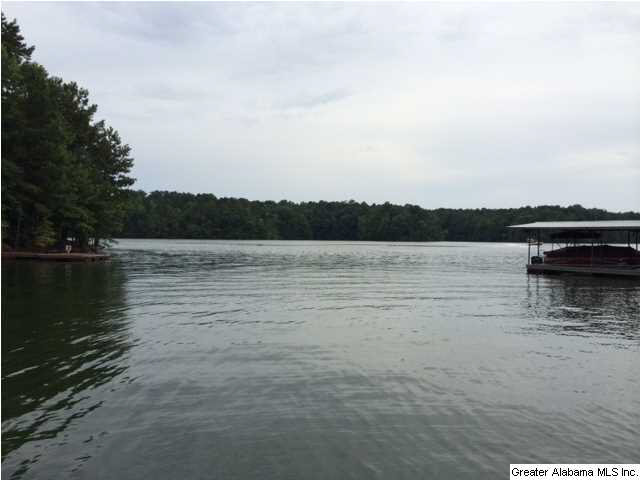 Turtle Cove, Unit 13 Wedowee, AL 36278 - Photo 4 of 4