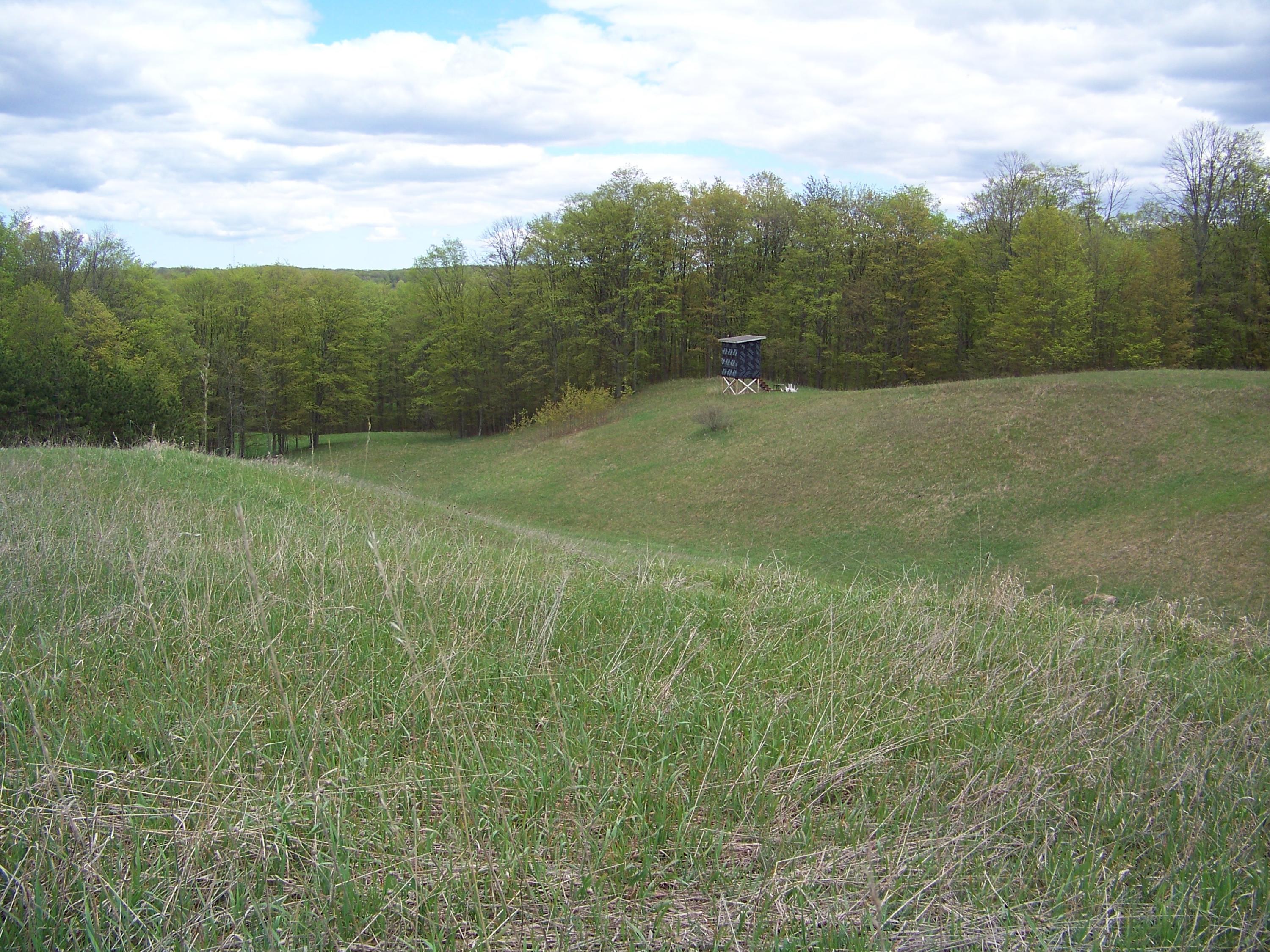Kujawa/seymore Road Gaylord, MI 49735 - Photo 12 of 18 Gallery Image 12