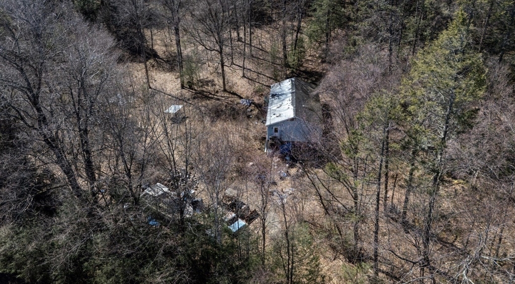 46 Bromley Road Huntington, MA 01050 - Photo 17 of 18 a view of a forest that has a tree