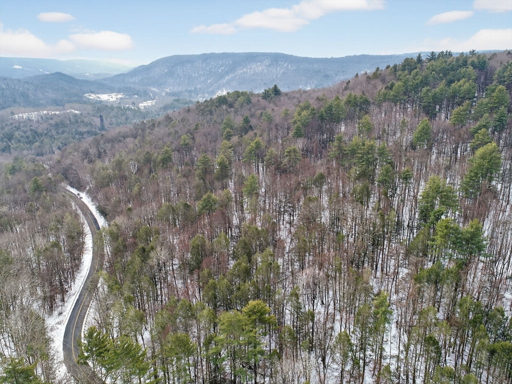 46 Bromley Road Huntington, MA 01050 - Photo 2 of 18 a view of a forest with mountains in the background