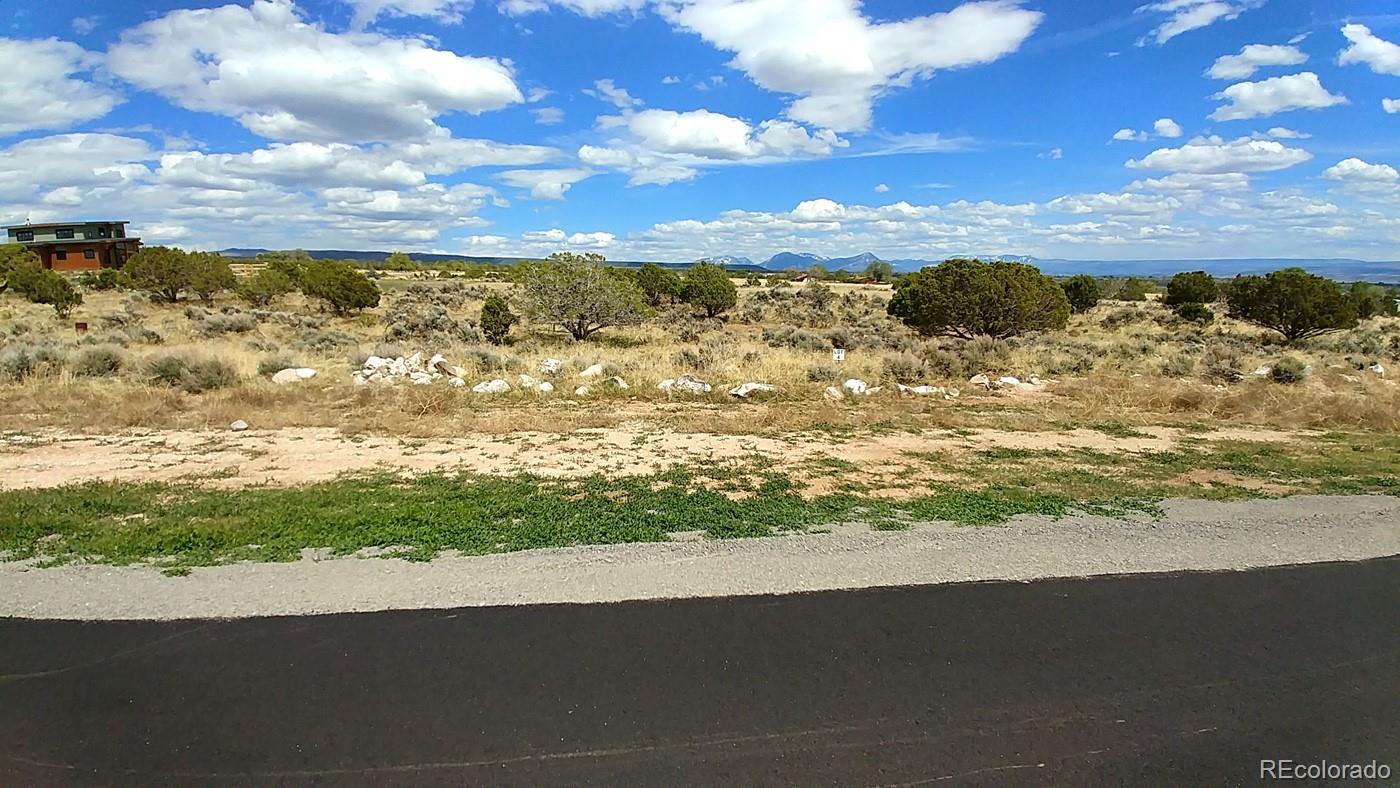 Lot 2 Pine Ridge Road Cedaredge, CO 81413 - Photo 6 of 24 a view of a yard with wooden floor