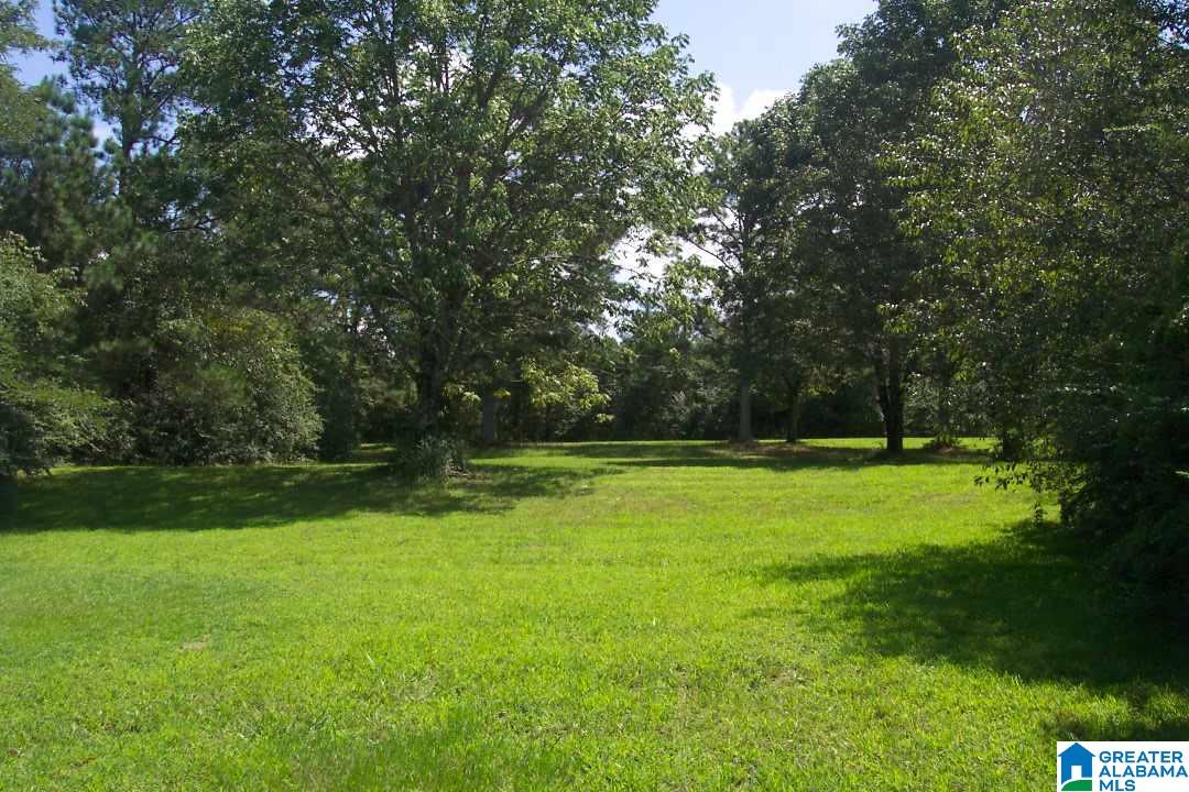 7677 Highway 27 Springville Al Springville, AL 35146 - Photo 3 of 43