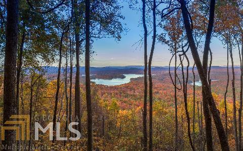 0 Ridges Over The Lake, Unit 1 Blue Ridge, GA 30513 - Photo 1 of 1 a view of a trees with a tree