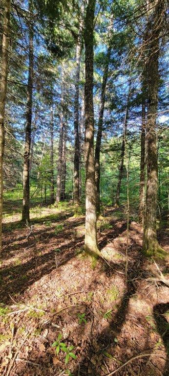 835 Gardner Creek Road Wade, ME 04786 - Photo 10 of 28 835 Gardner Creek Road (10)