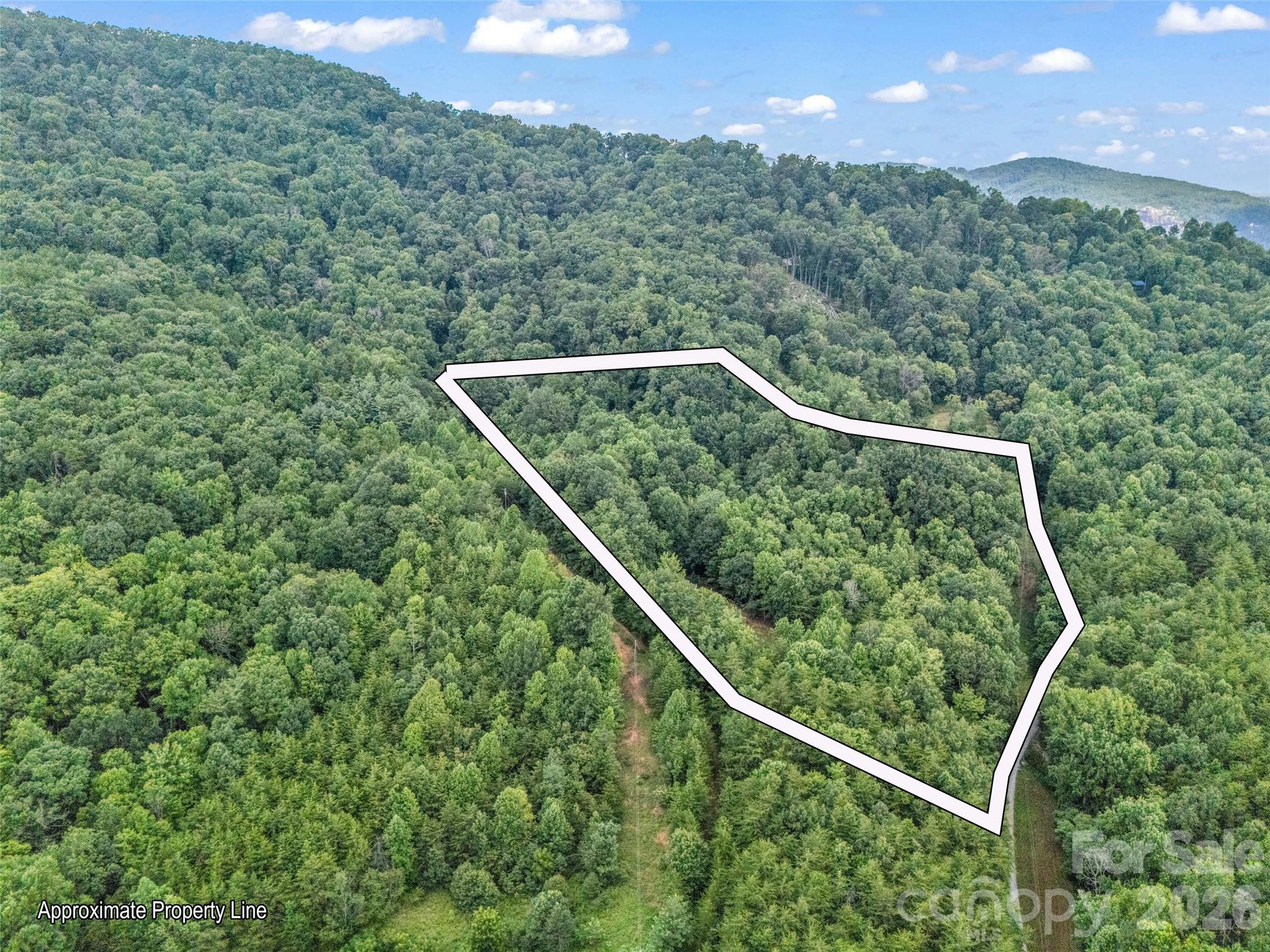479 Camp Hill Road Mill Spring, NC 28756 - Photo 42 of 48
