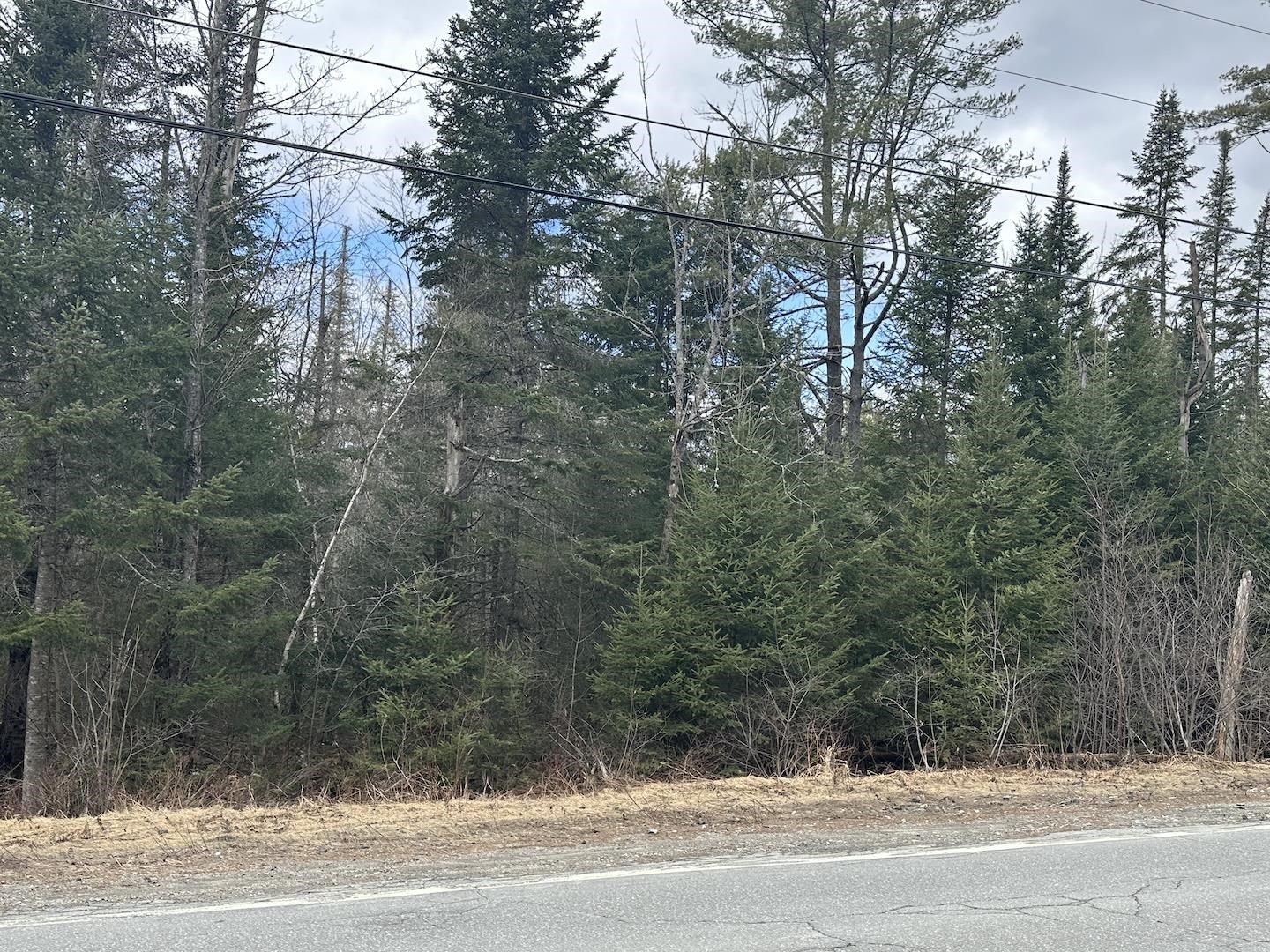 0 North Littleton Road Littleton, NH 03561 - Photo 3 of 7
