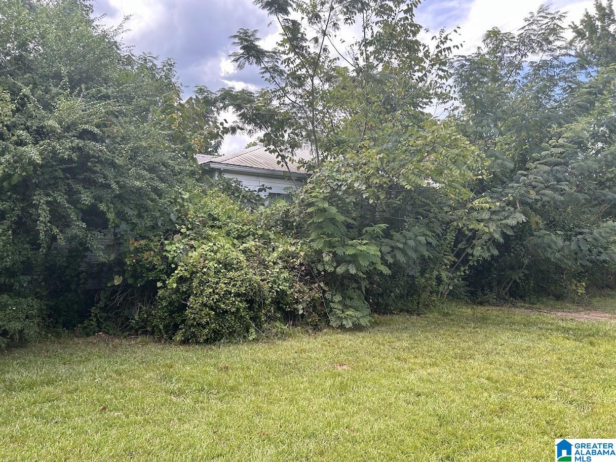 1818 Hillcrest Road Northeast Birmingham, AL 35215 - Photo 4 of 23