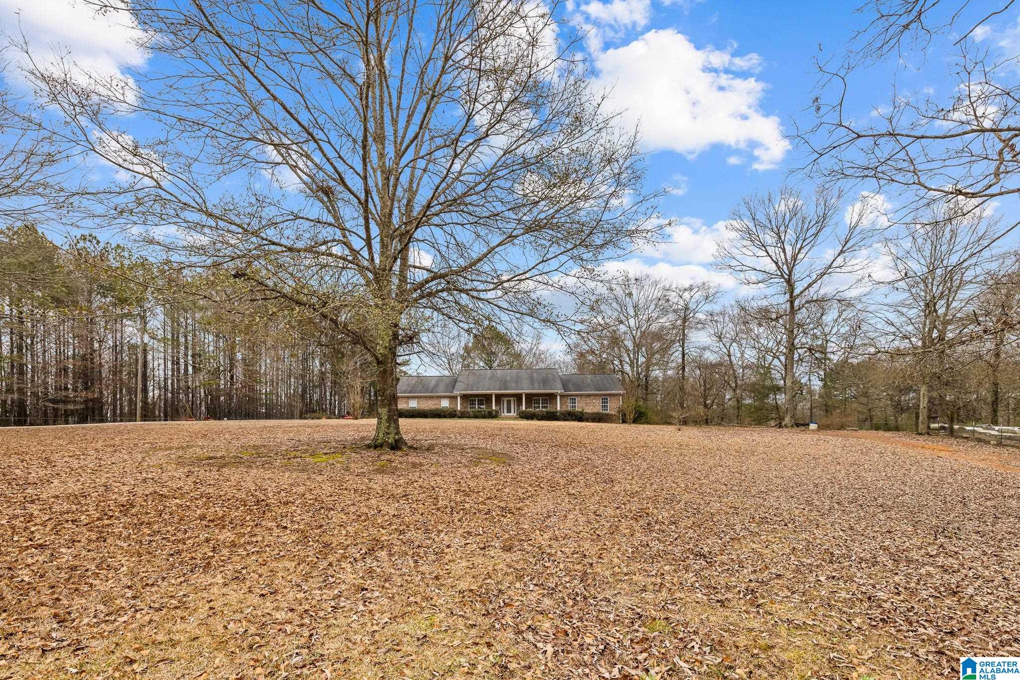 814 Deer Trace Road Pell City, AL 35125 - Photo 35 of 40