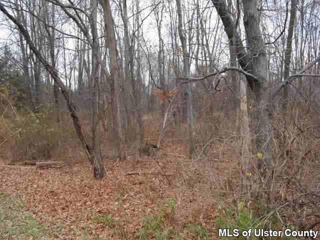 Tbd Tbd Tbd Street East Stone Ridge, NY 12484 - Photo 1 of 1 Photo 1
