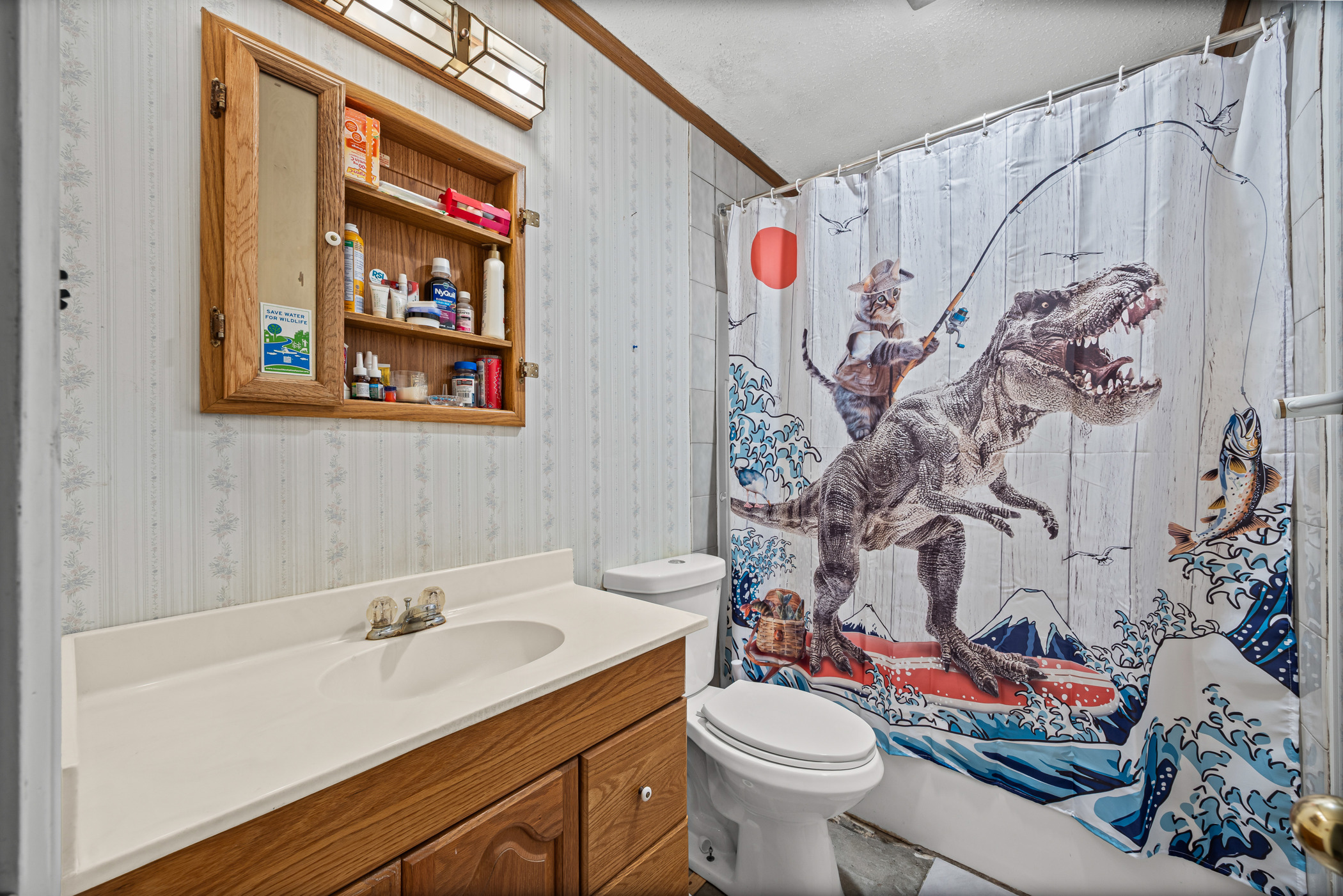 6300 Libyan Drive Austin, TX 78745 - Photo 24 of 35 a bathroom with a sink mirror vanity and toilet
