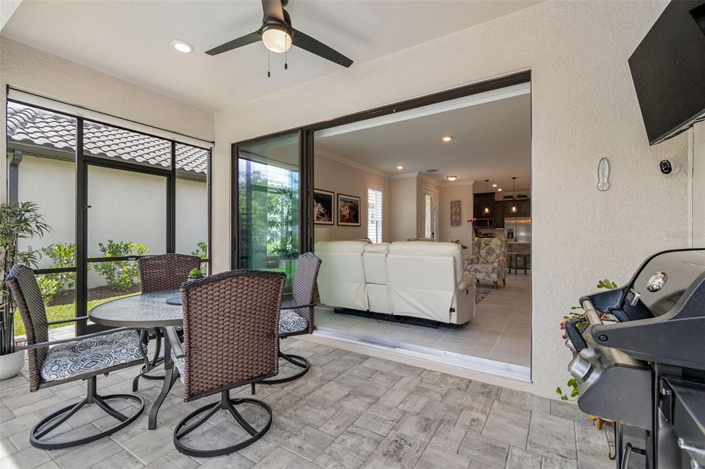 4534 Garofalo Road Wesley Chapel, FL 33543 - Photo 40 of 100 Gallery Image 40