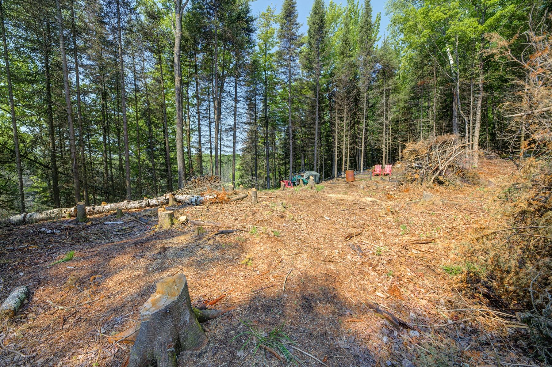 Lot 24 Gemstone Road Presque Isle, WI 54557 - Photo 7 of 23 Gallery Image 7