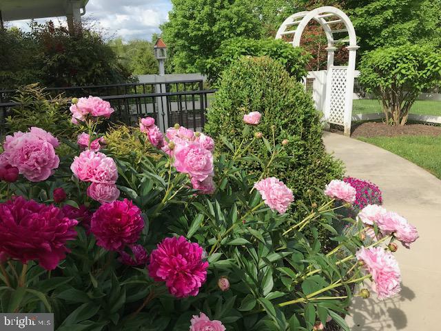 2049 Corbett Road Monkton, MD 21111 - Photo 23 of 66 Gorgeous landscaping