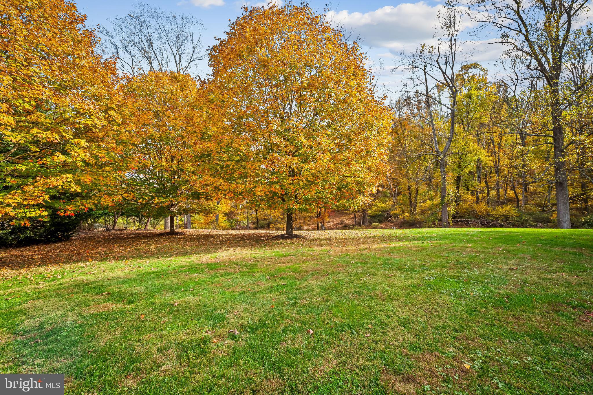 2049 Corbett Road Monkton, MD 21111 - Photo 58 of 66 Fall foliage presents eye candy in every view