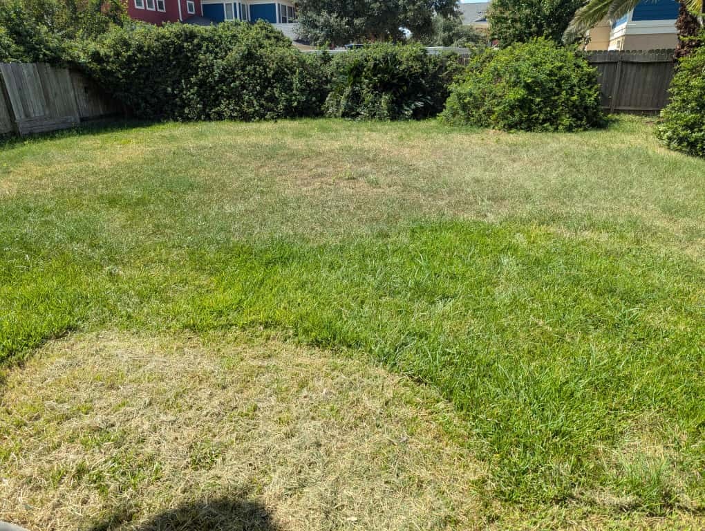 426 Dockside Terrace Katy, TX 77494 - Photo 34 of 36 Large back yard