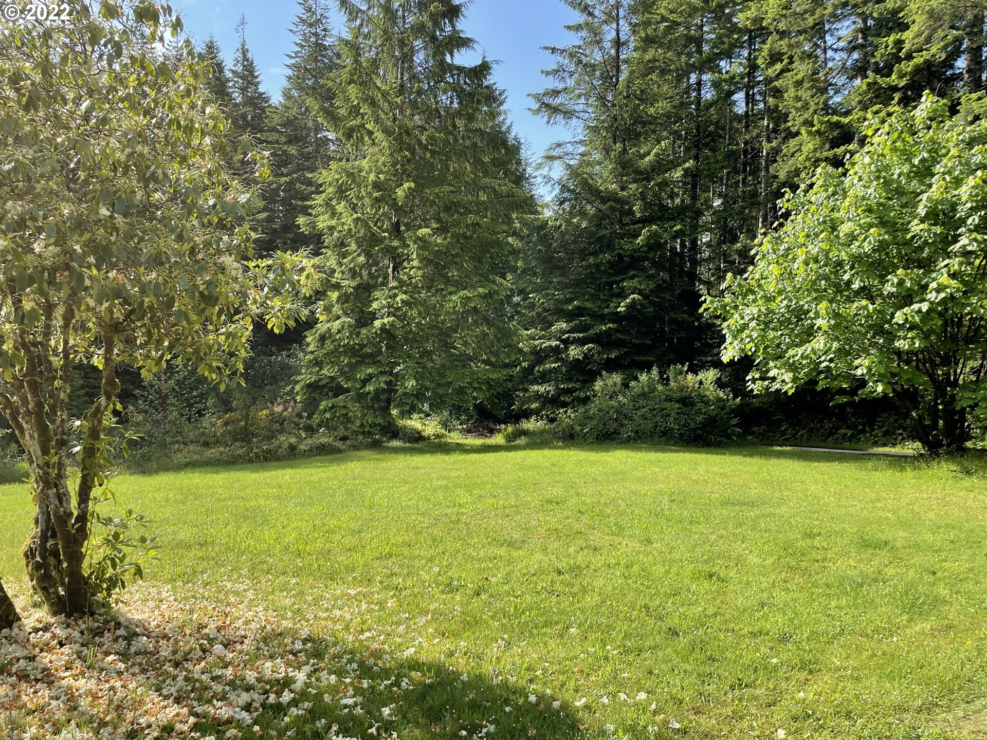 84799 Newcomb Road Florence, OR 97439 - Photo 10 of 15 Gallery Image 10