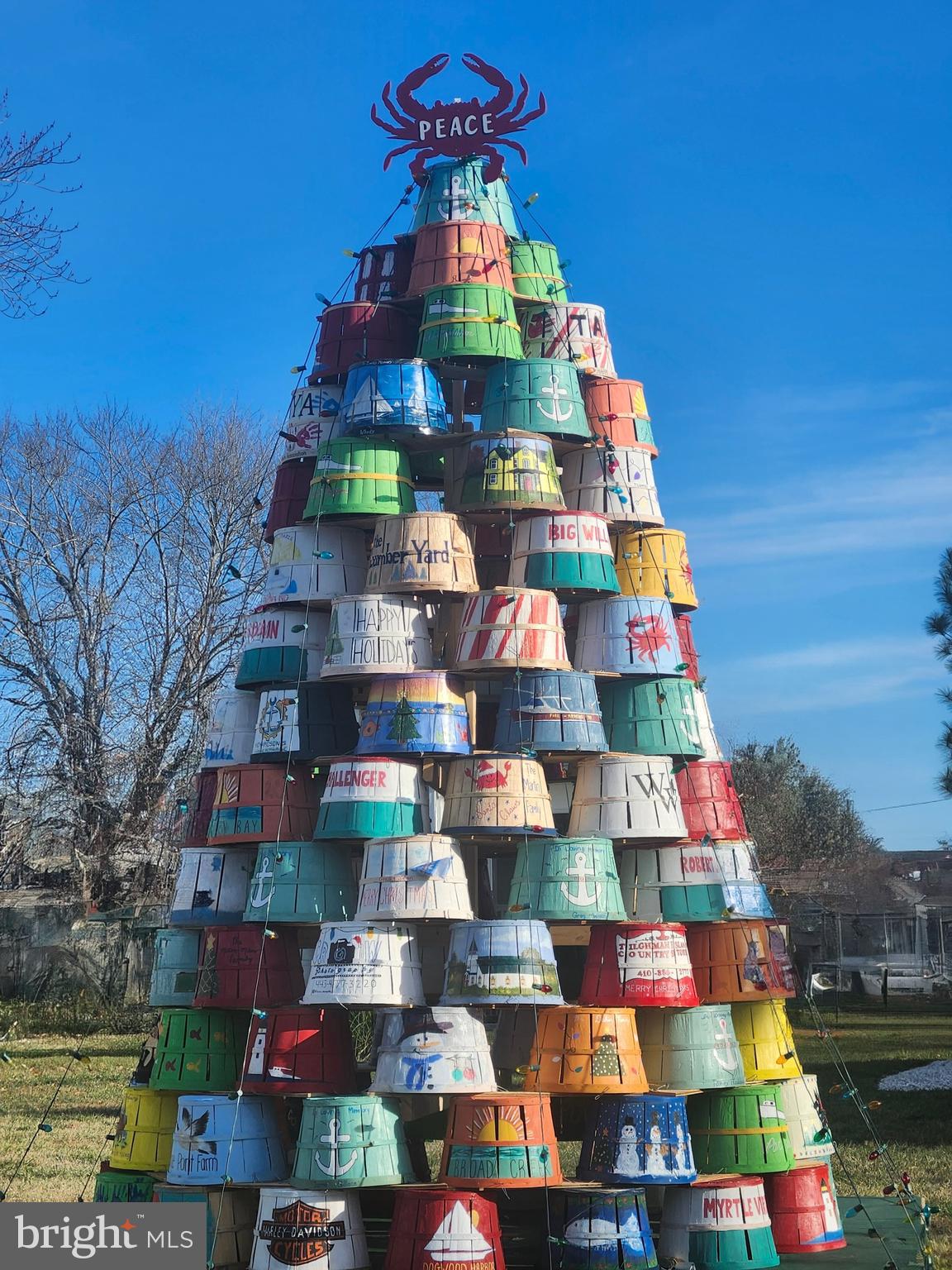 16 Meadow Street St. Michaels, MD 21663 - Photo 16 of 25