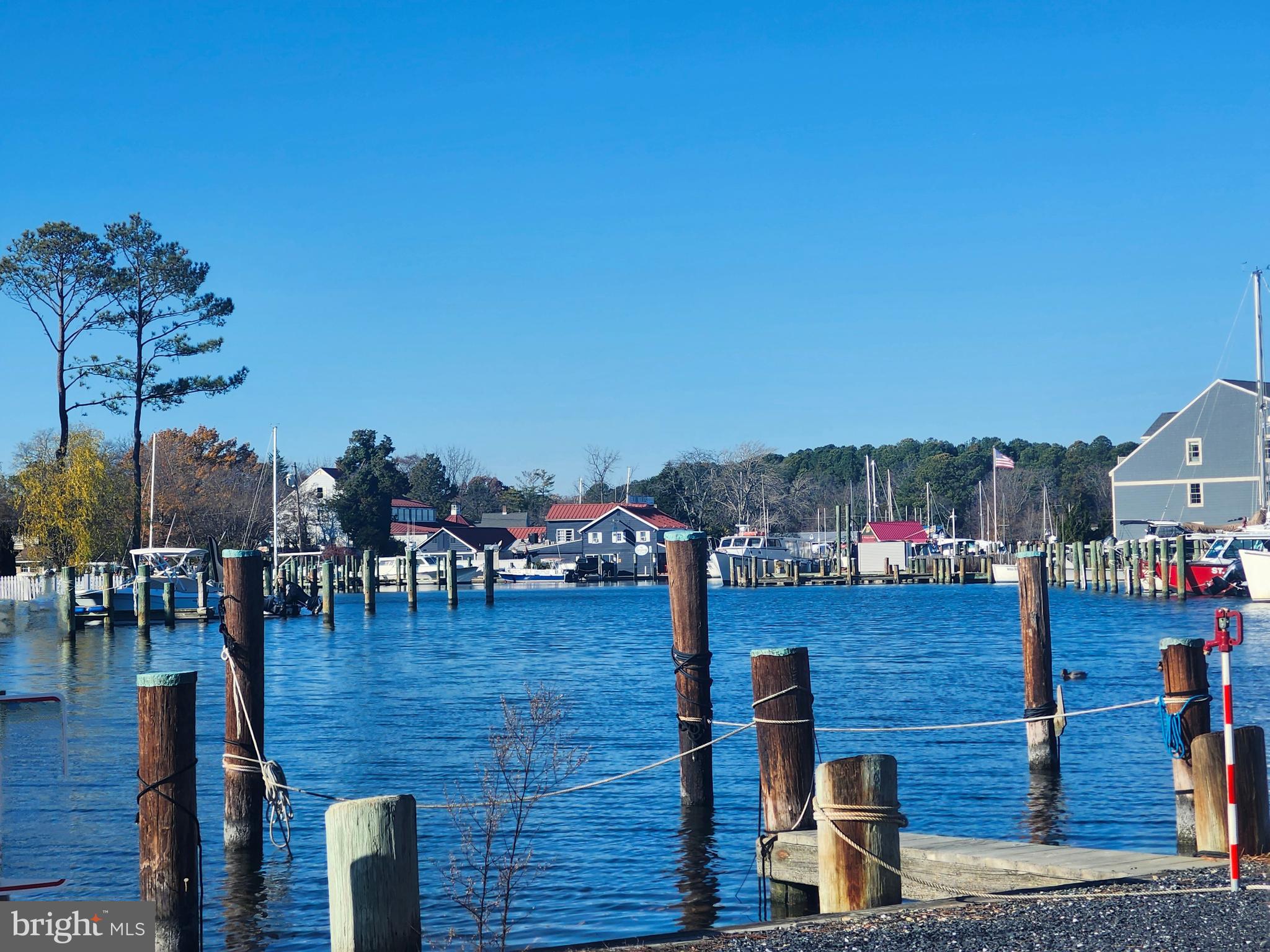 16 Meadow Street St. Michaels, MD 21663 - Photo 25 of 25 a view of a swimming pool with outdoor seating