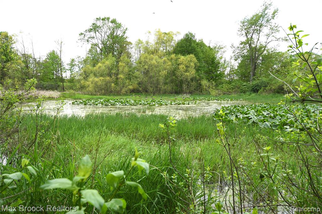 58282 Savage Road Vandalia, MI 49095 - Photo 52 of 70
