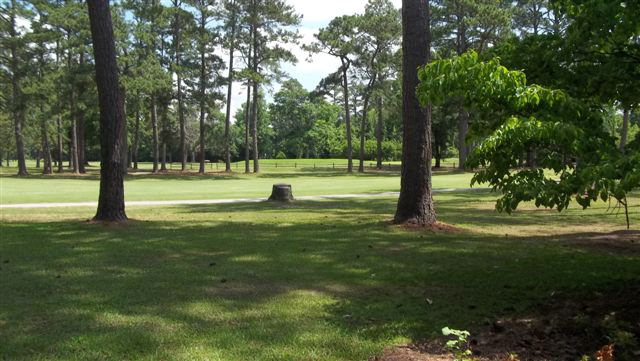 6795 River Road Washington, NC 27889 - Photo 20 of 21 Additional Photo