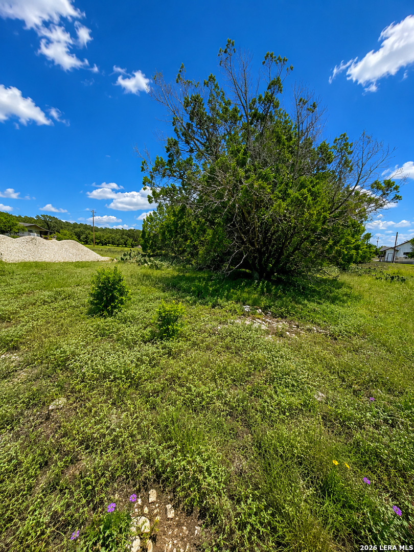 6718 Spring Branch Road Spring Branch, TX 78070 - Photo 3 of 6