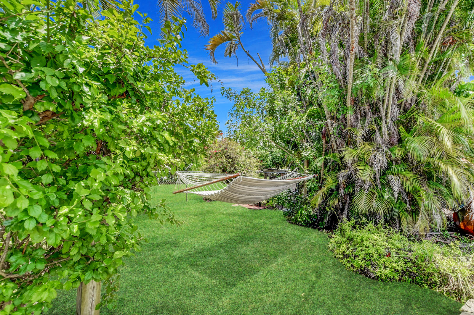 4542 Avalon Street Boca Raton, FL 33428 - Photo 40 of 51 a view of a backyard