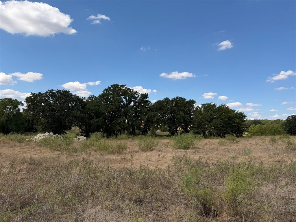 1891 Jordan Road Weatherford, TX 76088 - Photo 3 of 10 Expansive open land featuring mature trees and natural vegetation