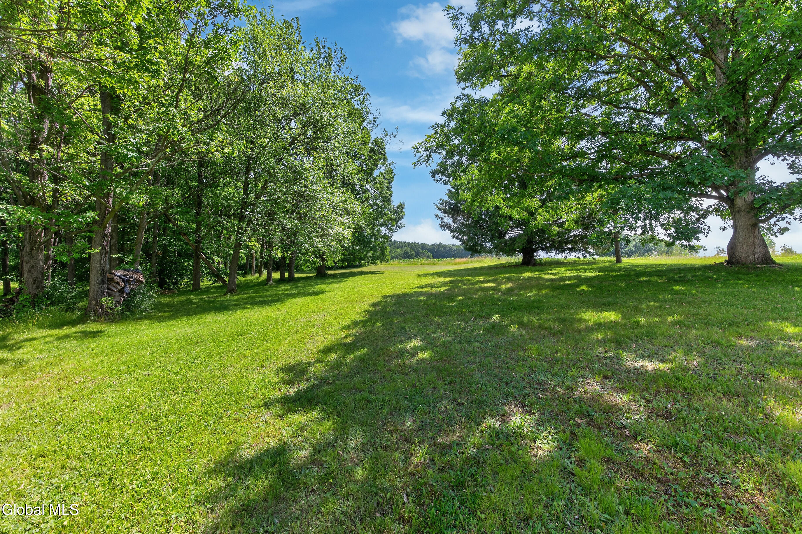 337 Quackenbush Road Princetown, NY 12306 - Photo 14 of 49 016-337-Quackenbush-Road-Schenectady-NY-