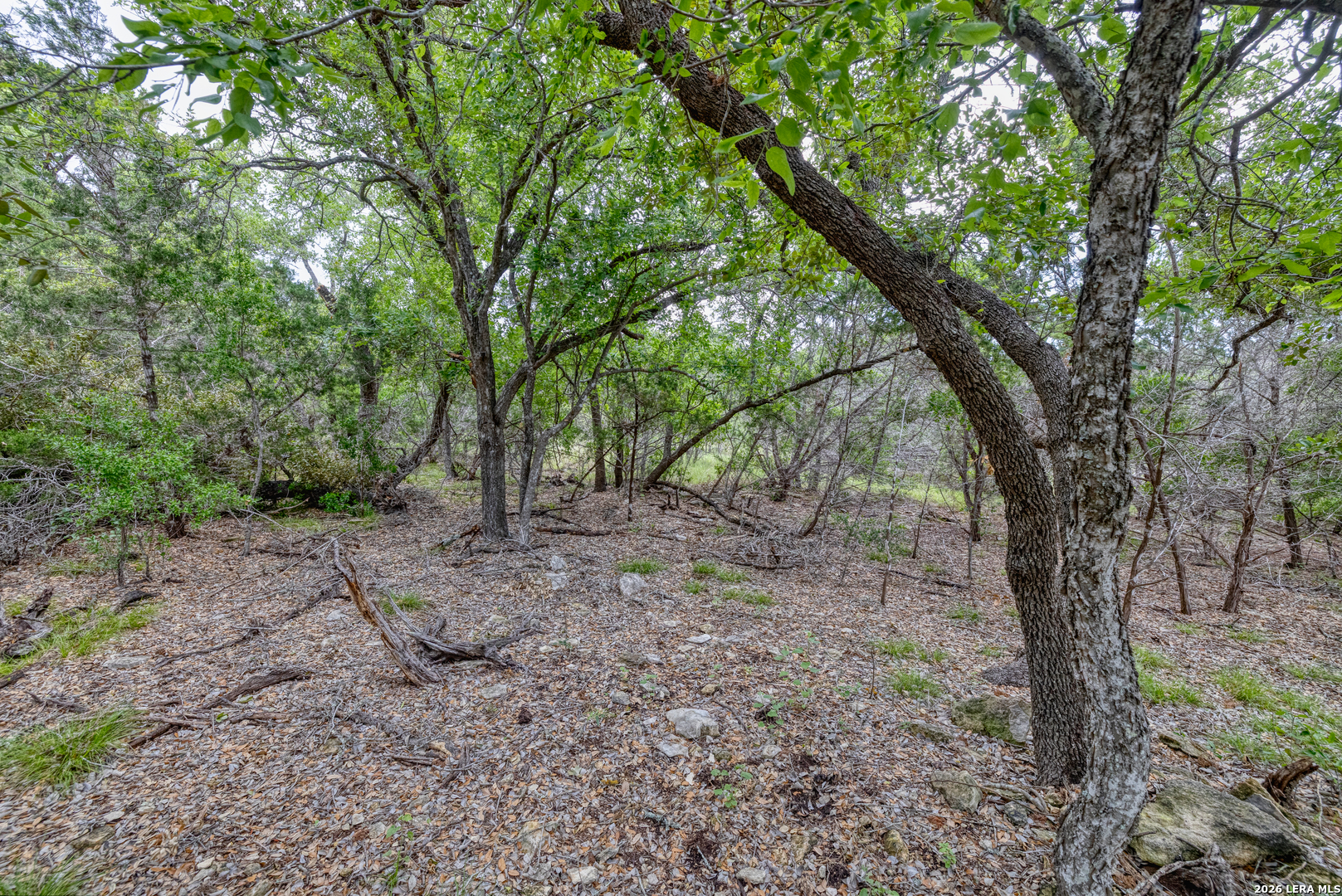 Lot 154 1796th Ranch D'Hanis, TX 78850 - Photo 9 of 18