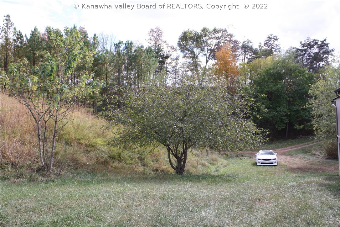 155 Tuscan Lane Ripley, WV 25271 - Photo 23 of 24 Several Fruit trees on the property
