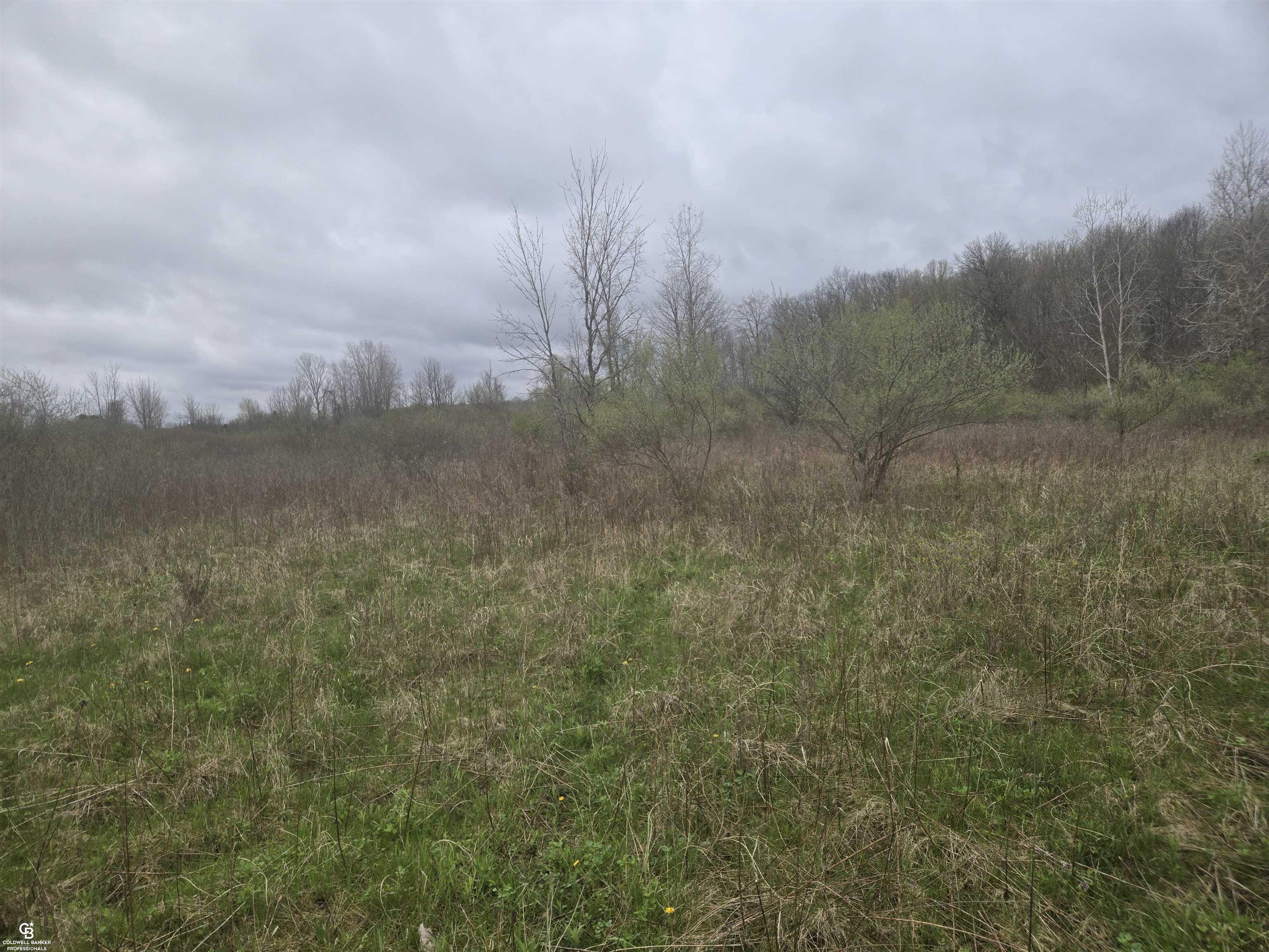 5637 Metcalf Road North Street, MI 48049 - Photo 7 of 13