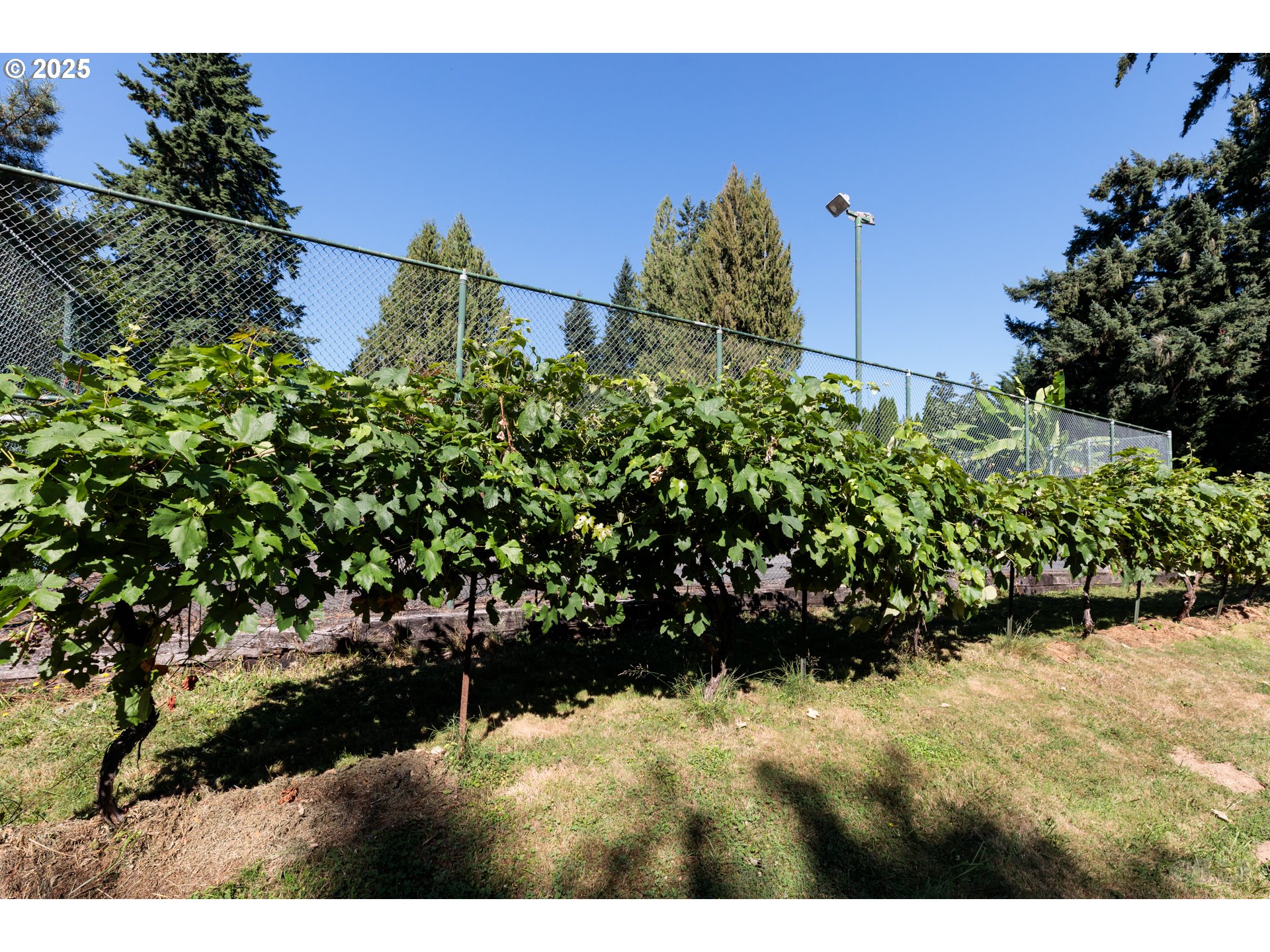 56503 Crest Drive Warren, OR 97053 - Photo 22 of 30