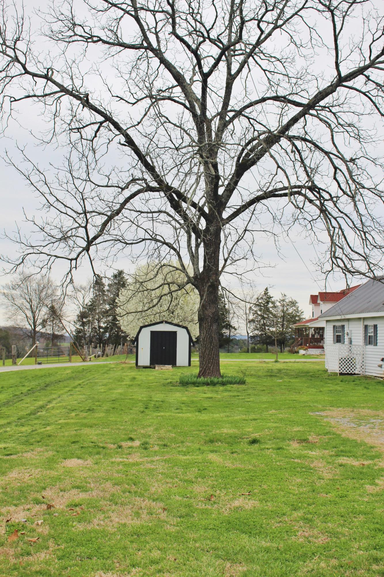 195 Sligh Road Dayton, TN 37321 - Photo 27 of 28 40