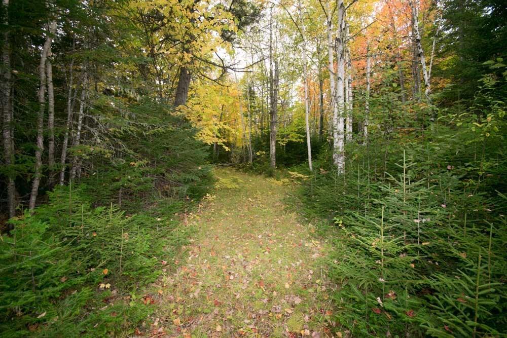 58 Gardner Point Road Mount Chase, ME 04765 - Photo 10 of 18 land
