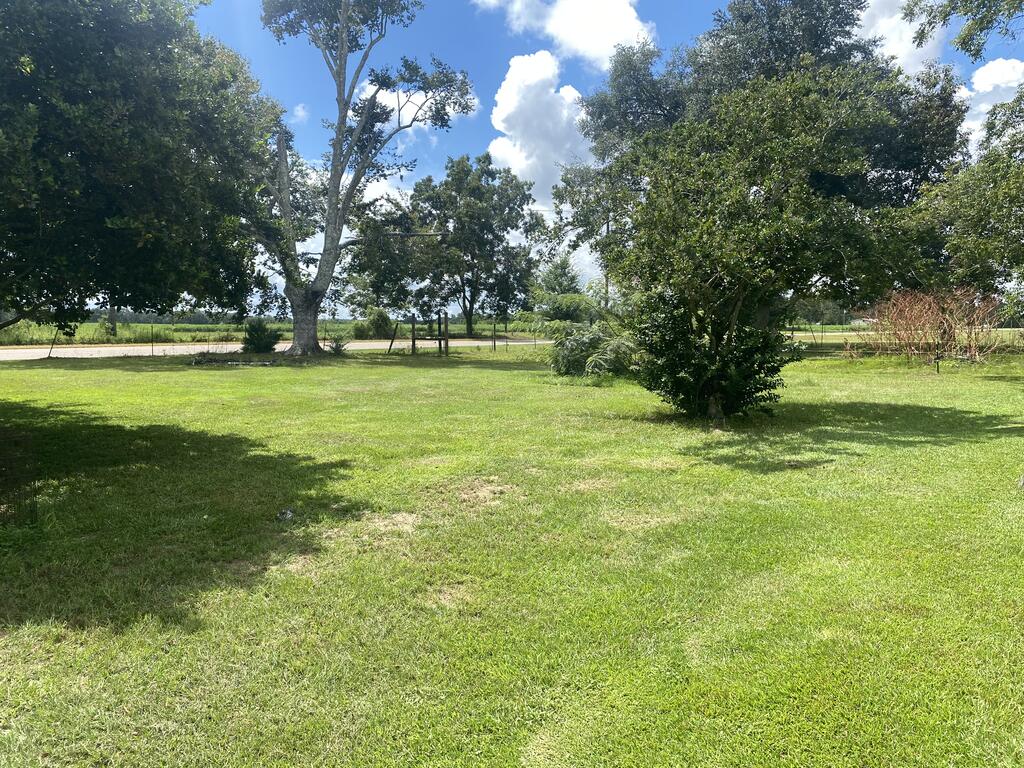 4717 State Line Road Cottonwood, AL 36320 - Photo 22 of 38 Gallery Image 22