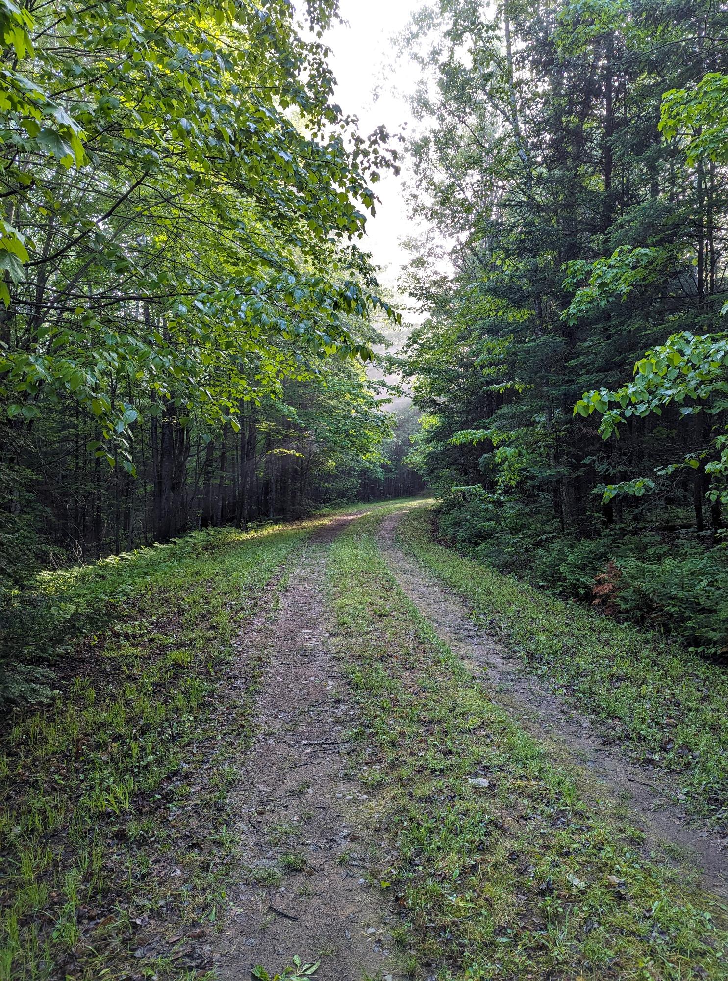 N14497 Boruta Road Park Falls, WI 54552 - Photo 10 of 57 Gallery Image 10
