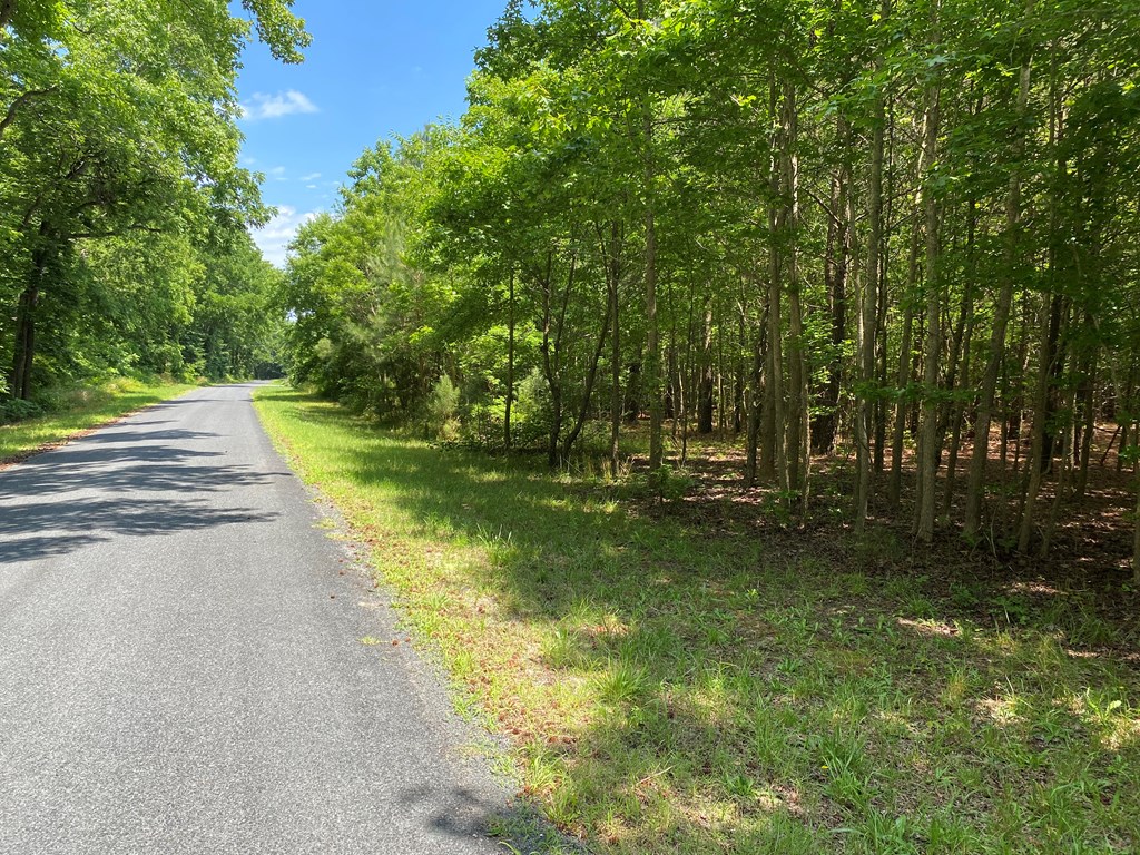 Lot 5 Narrow Channel Branch Road, Unit 5 Cape Charles, VA 23310 - Photo 2 of 6