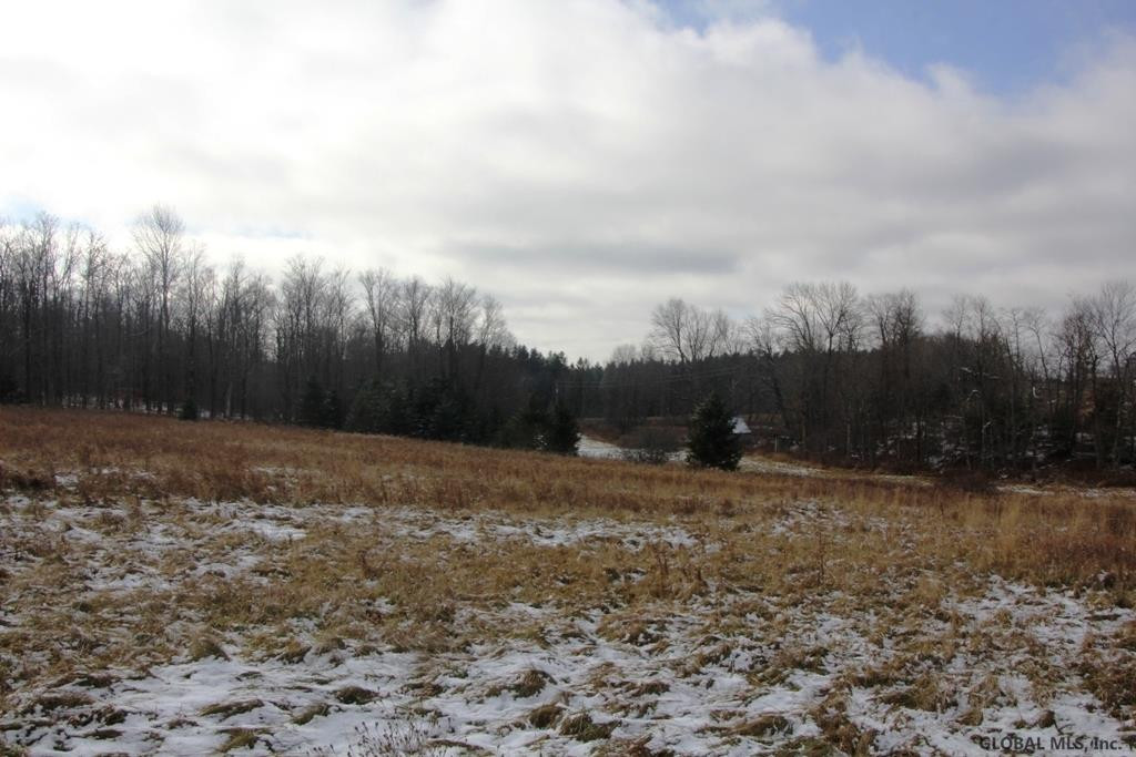 380 Meade Road Jefferson, NY 12093 - Photo 2 of 16 Photo 2