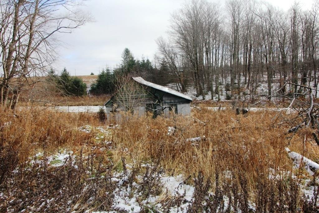 380 Meade Road Jefferson, NY 12093 - Photo 3 of 16 Photo 3