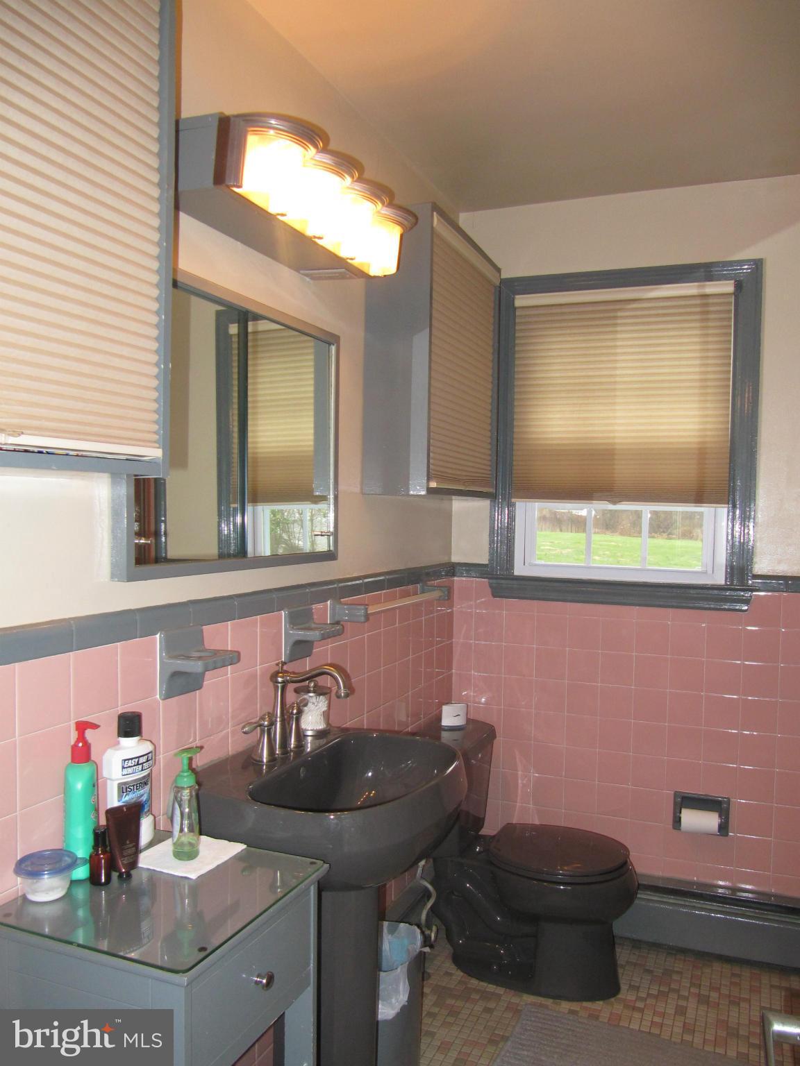 7518 Windsor Mill Road Baltimore, MD 21244 - Photo 12 of 17 a bathroom with a sink and a mirror