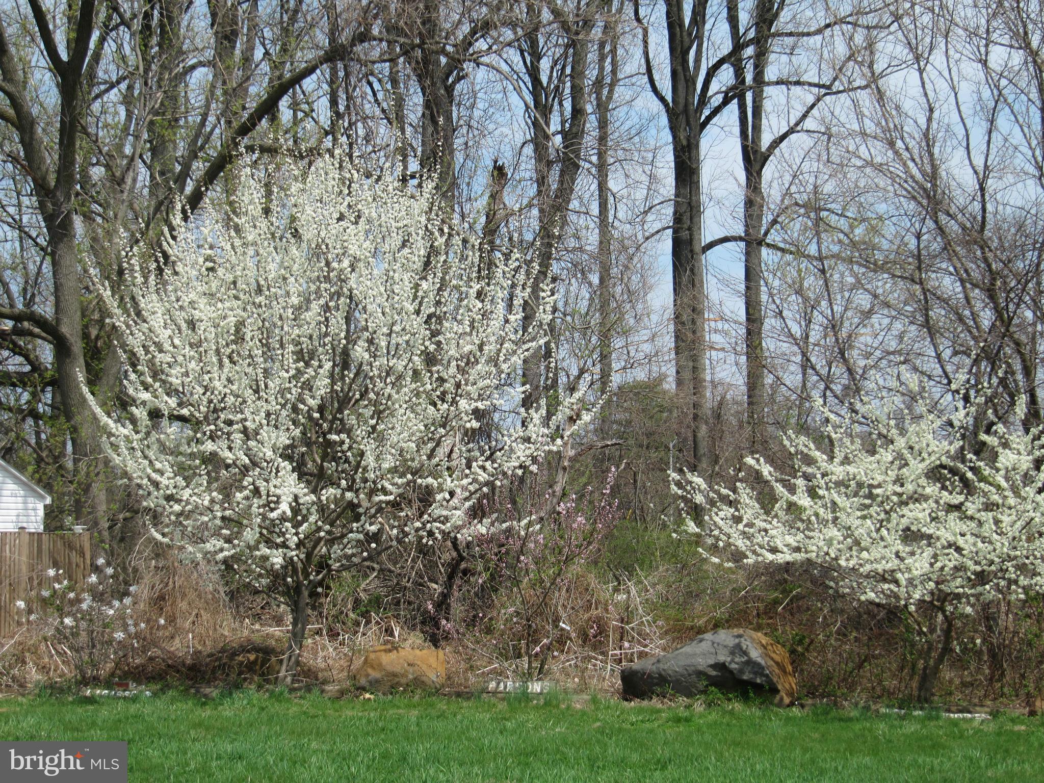 7518 Windsor Mill Road Baltimore, MD 21244 - Photo 16 of 17 a view of a yard with large trees