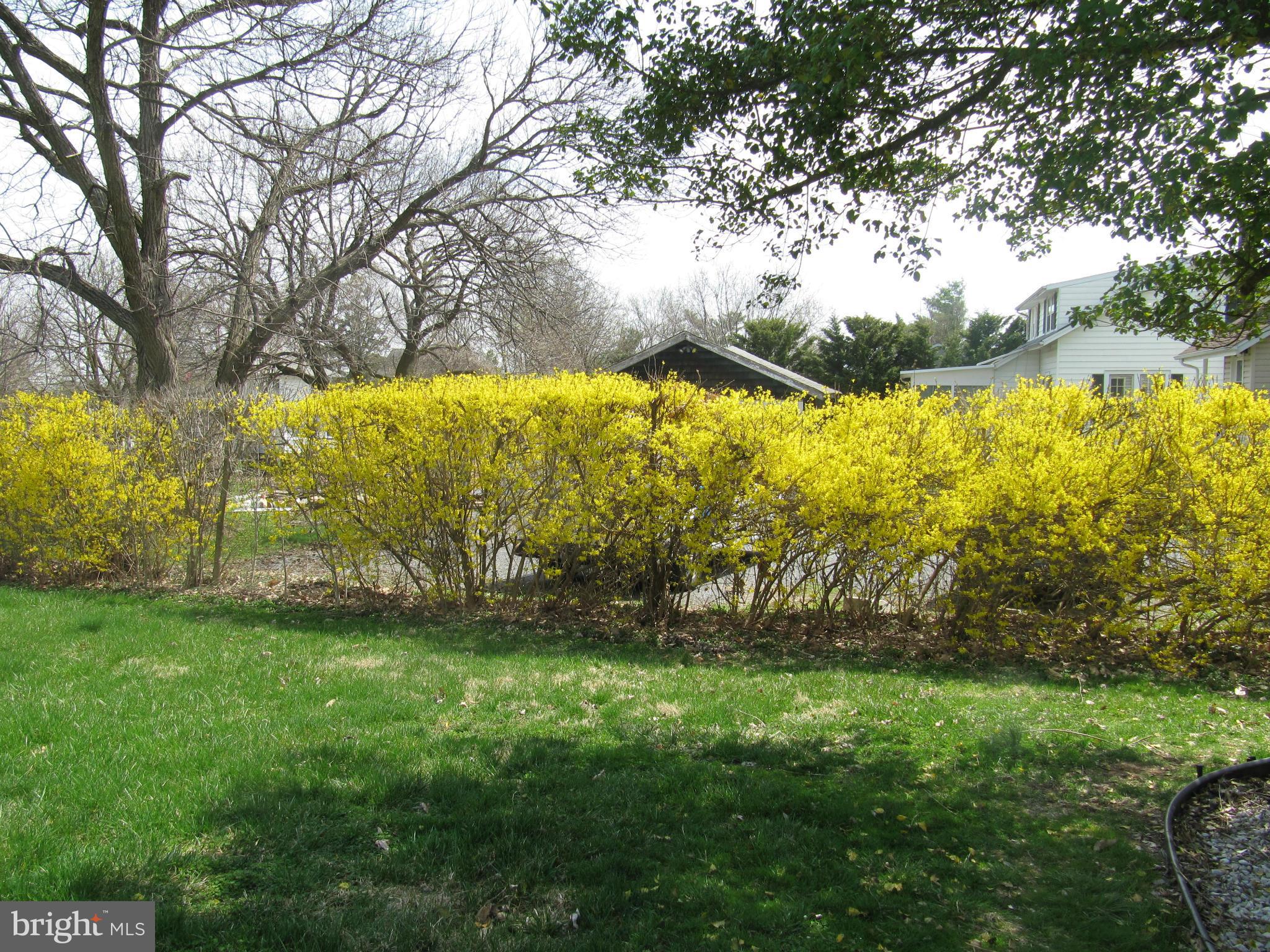 7518 Windsor Mill Road Baltimore, MD 21244 - Photo 17 of 17 a view of yard with green space