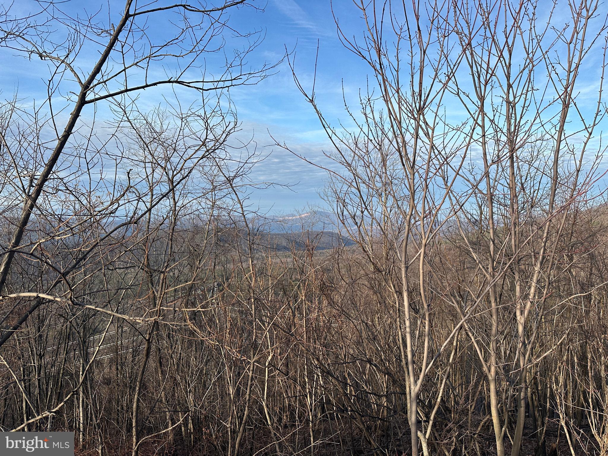 333 Nathaniel Mountain Road Moorefield, WV 26836 - Photo 36 of 65
