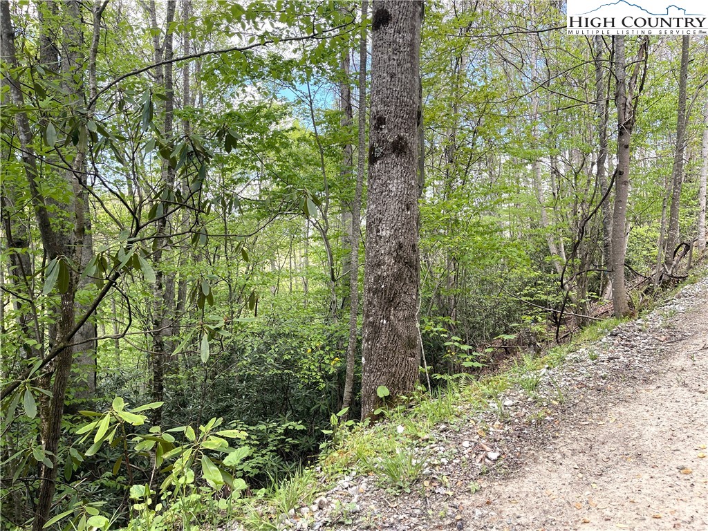 117 Deergrass Road Beech Mountain, NC 28604 - Photo 3 of 3 a backyard of a house with lots of green space