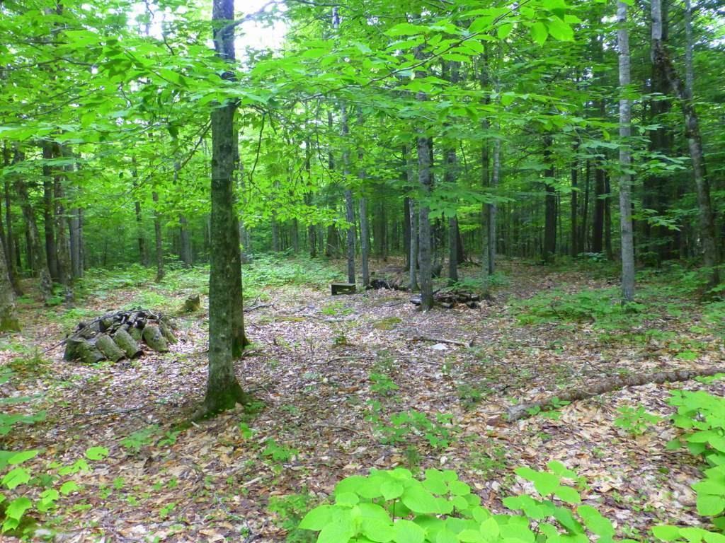 Lot #4 Burbank Hill Road Strong, ME 04983 - Photo 8 of 19 Photo
