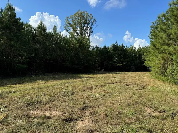 $137,500 | 1365 Mickle Smith Trail Southwest, Bogue Chitto, MS 39629