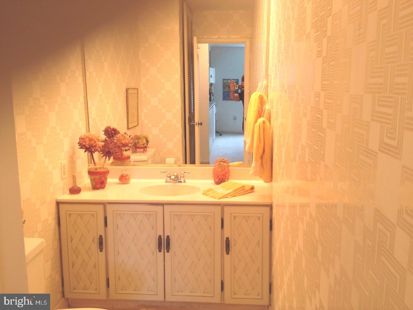 860 Lower Ferry Road, Unit 4F Ewing, NJ 08628 - Photo 8 of 18 a bathroom with a sink and a mirror
