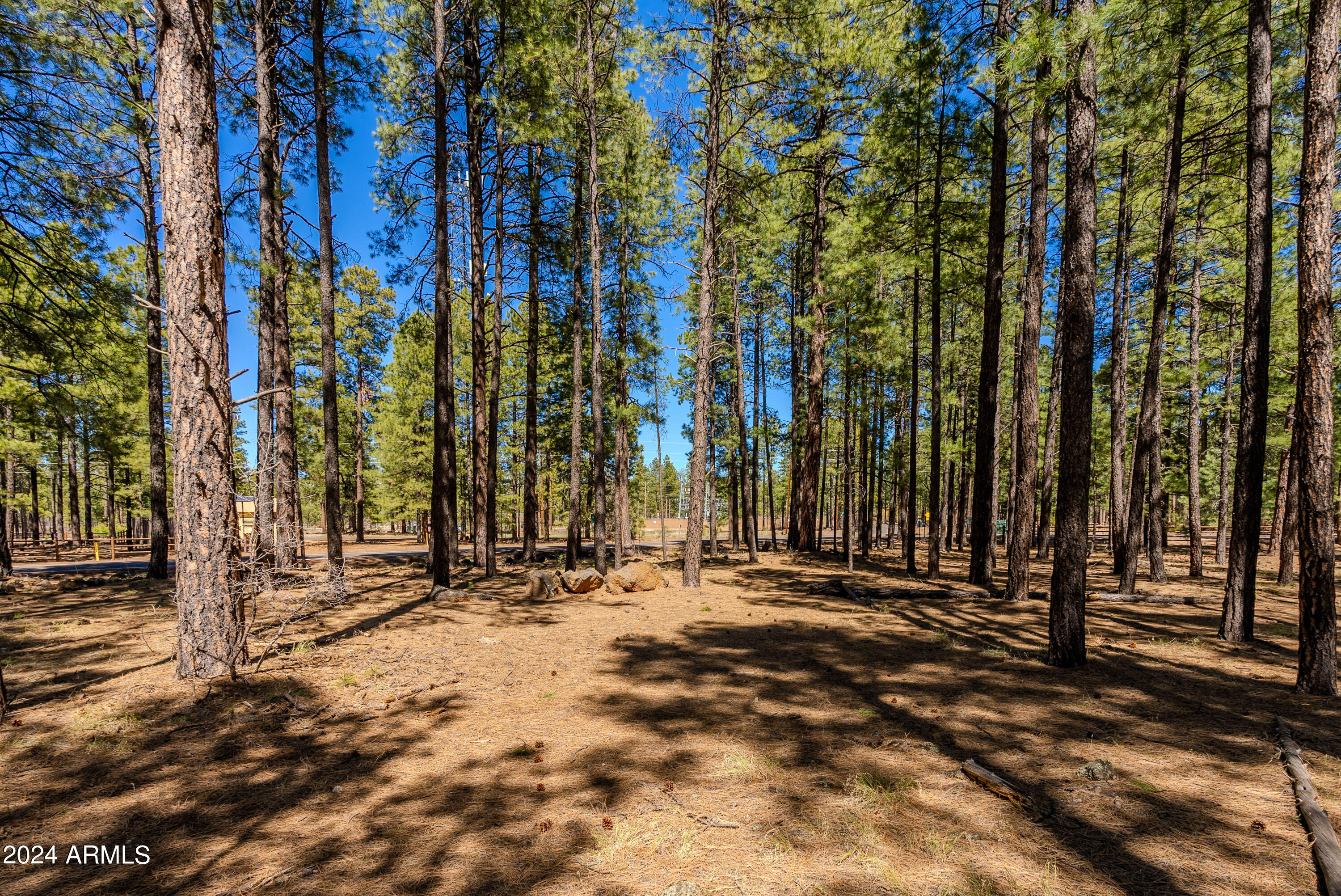 4583 Sky Hi Road Pinetop, AZ 85935 - Photo 24 of 30 4583 Sky Hi-24