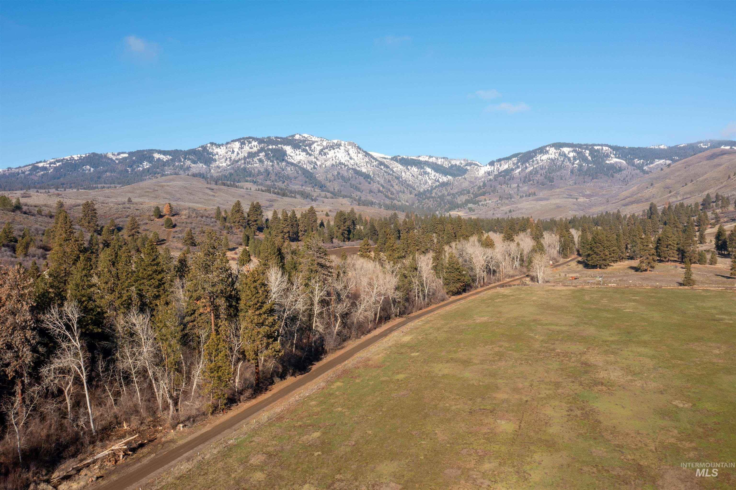 3488 Ward Road Cambridge, ID 83610 - Photo 46 of 49 Mountain view featuring a heavily wooded area